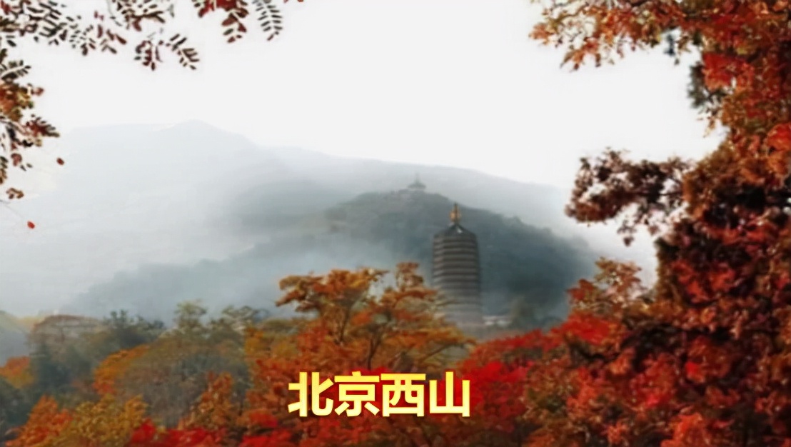 问花水榭诗集,问花古诗翻译