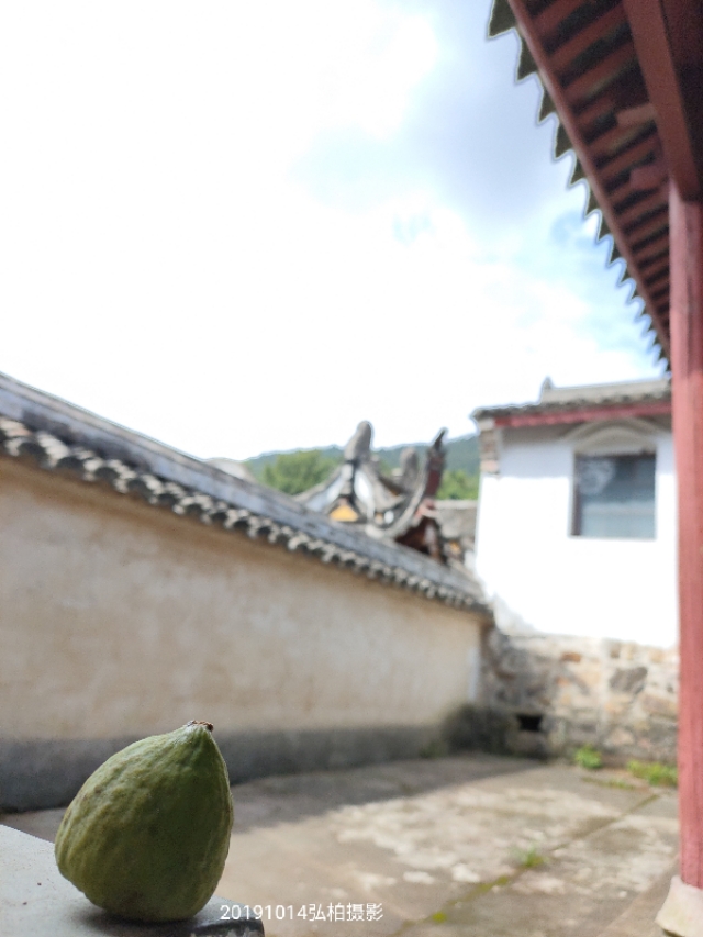 阿育王寺和白马寺,佛教阿育王简介