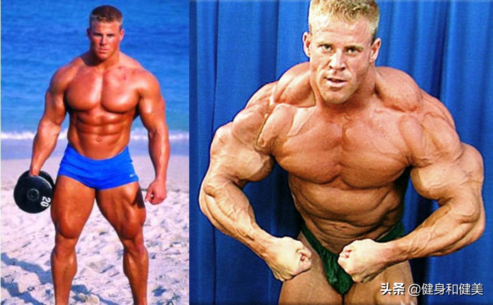 ifbb职业奥运选手,ifbb职业健美运动员