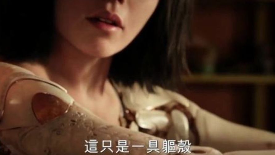 人应不应该勇敢追求爱情,人应不应该追求平凡