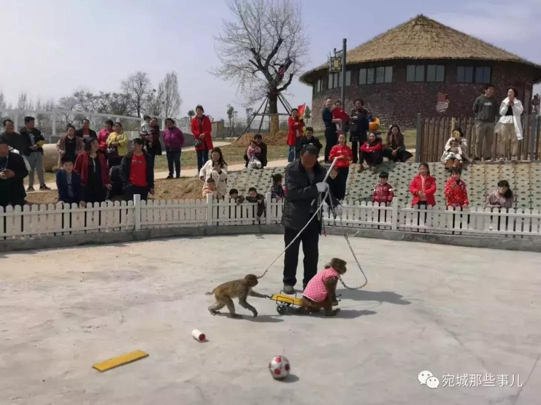 南阳老徐,河南南阳老徐最新视频