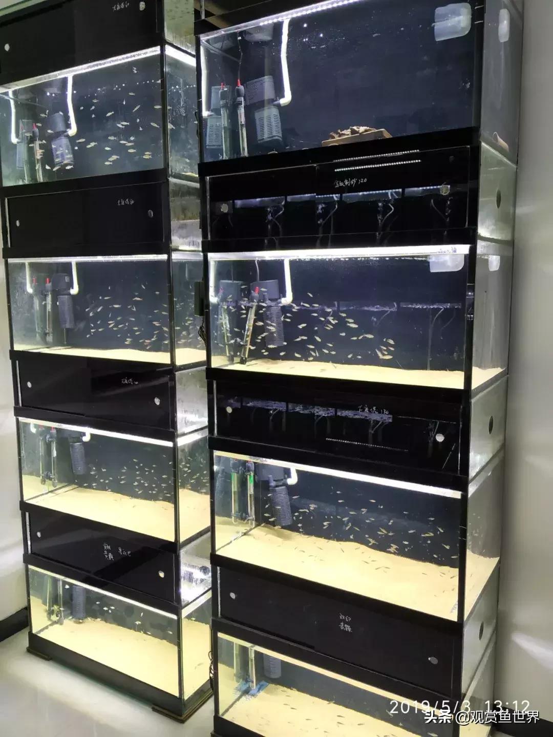 梦想的三湖世界持续建设中……方位:中国天津