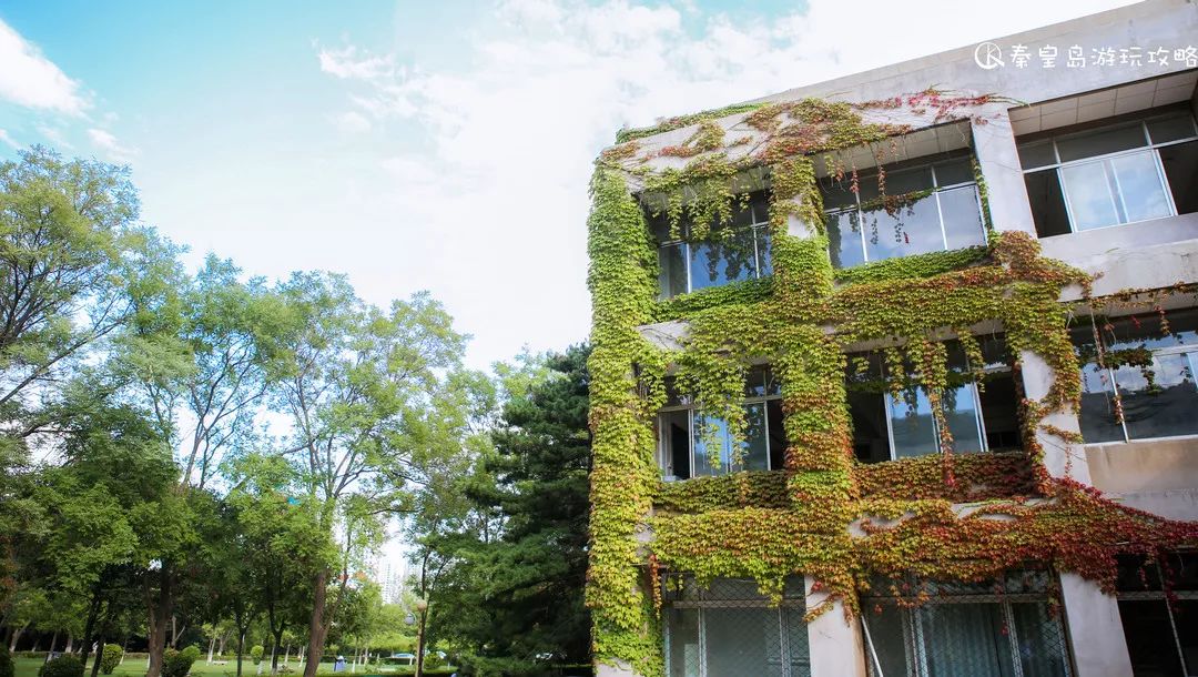 燕山大学有哪些景点,燕山大学最美景观