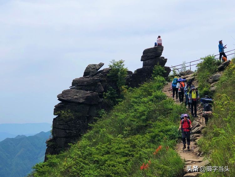 初夏游江西：历经晴、雨、雾，穿越武功山
