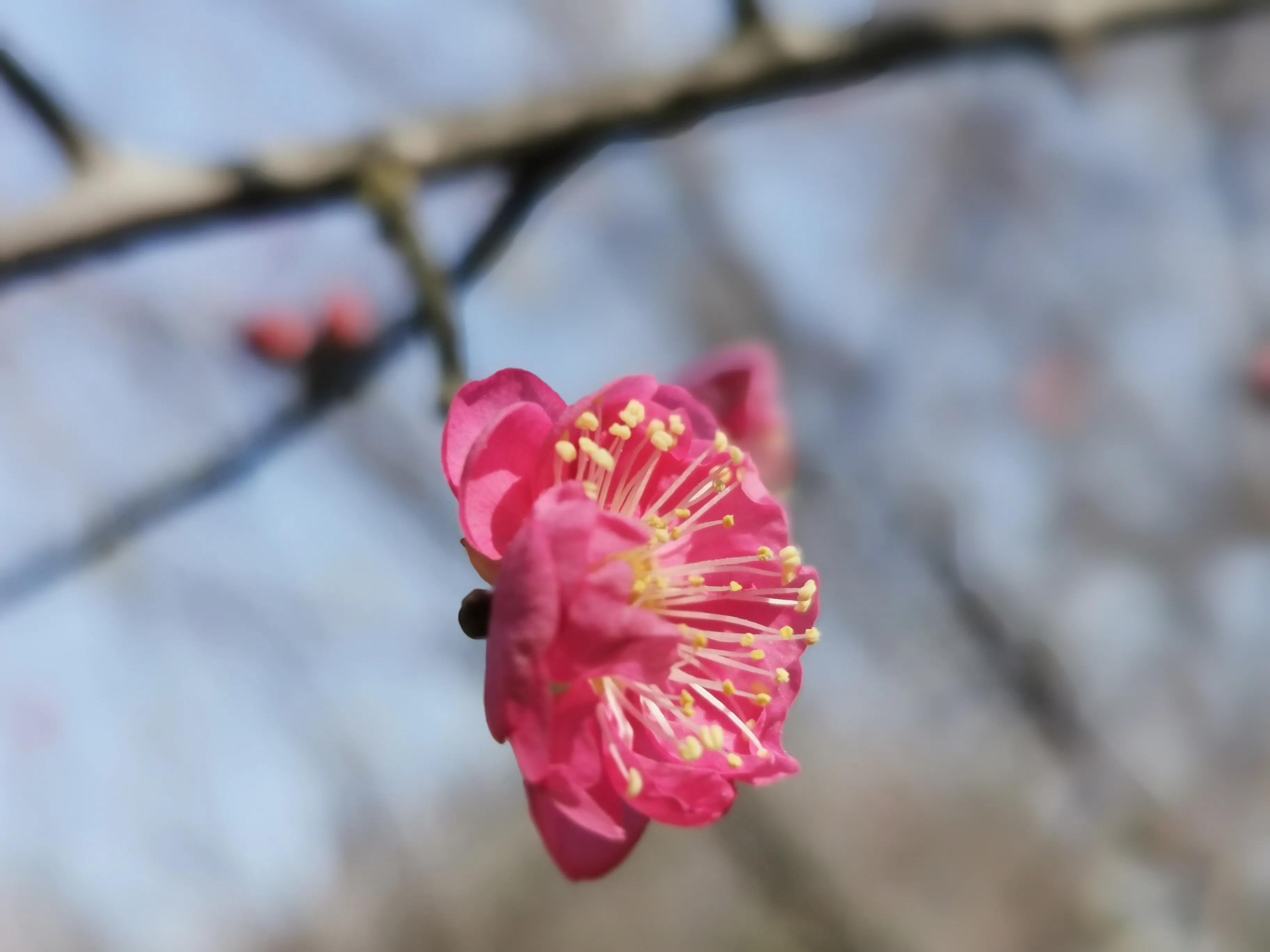 喜欢，妈妈为你唱歌时找不到调的跑调（我思）