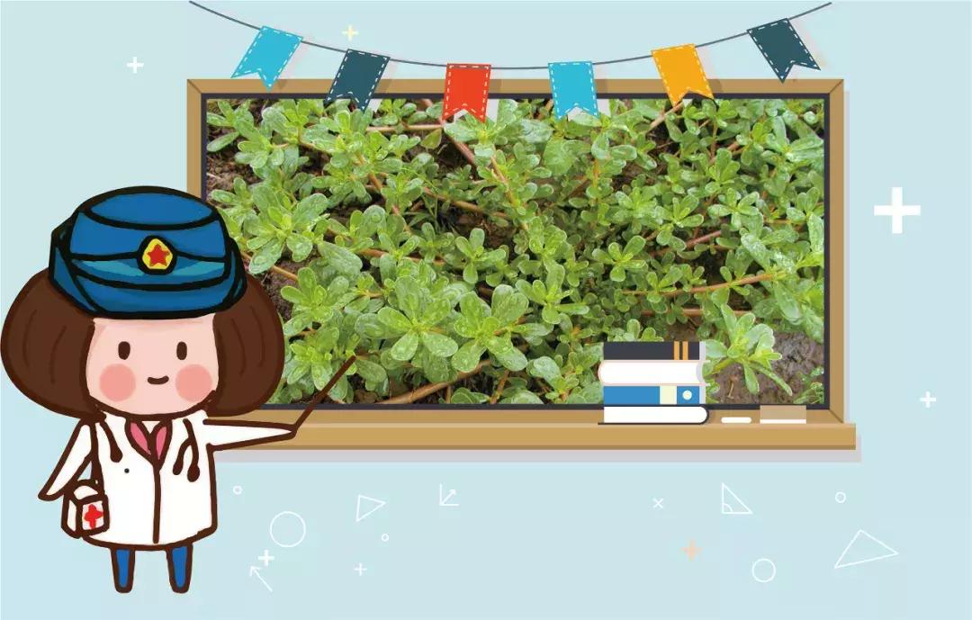 军医小茵,军医小茵所有视频