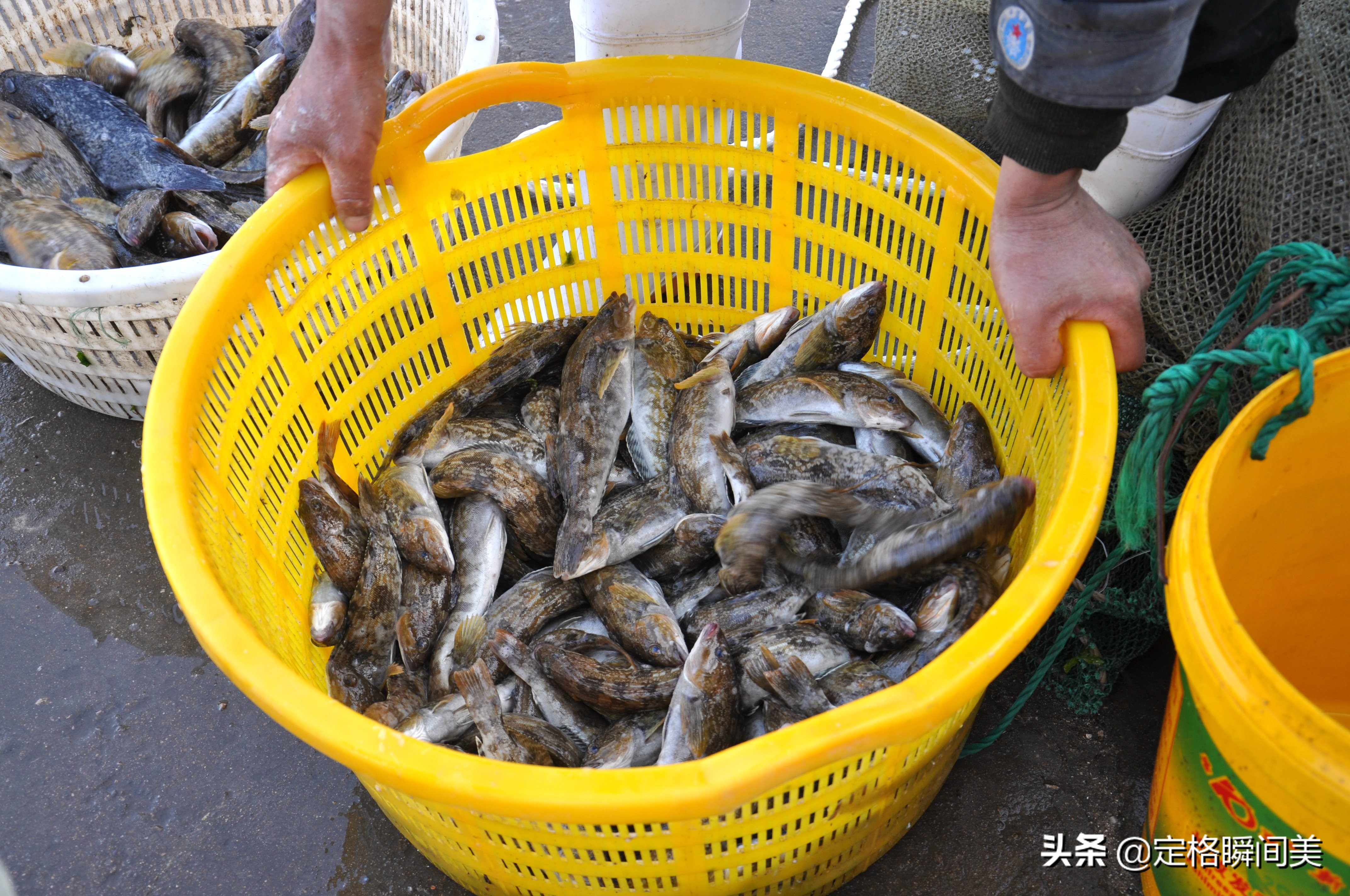 青岛哪个码头海鲜便宜又好,青岛海鲜码头海鲜
