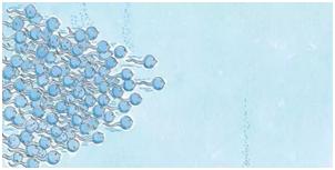 家长们,别再羞答答了,快亲手替孩子填上“*启蒙性**”这个坑吧!