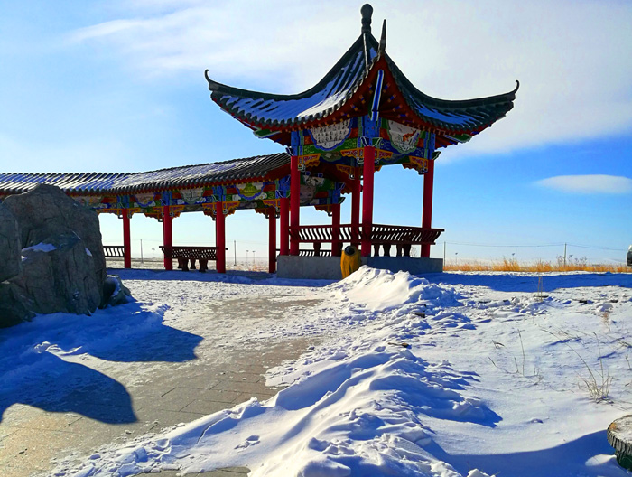 内蒙古狼旅游,内蒙古狼族自驾游视频