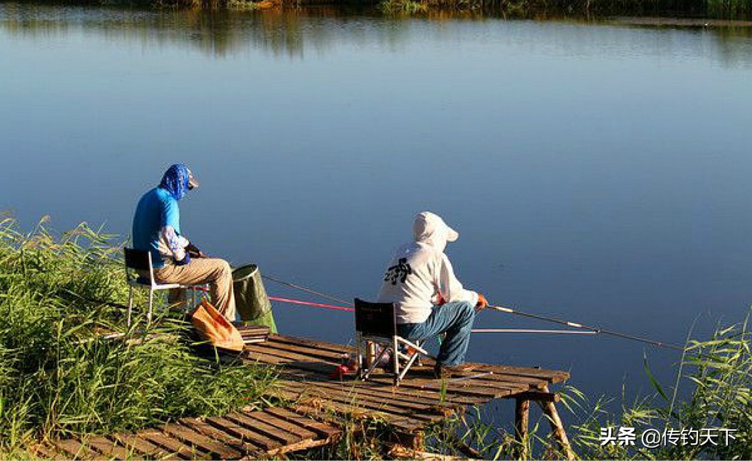 如何拿黄辣丁鱼饵钓鱼,夜钓江鱼黄辣丁饵料