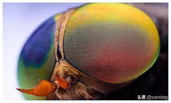 cnn卷积神经网络反向传播,一文入门卷积神经网络cnn通俗解析