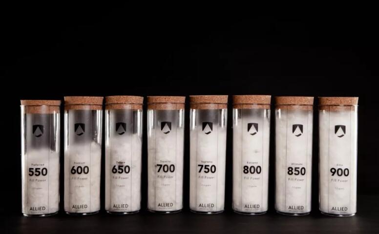 上万元的羽绒服,上万元一只的柯尔鸭凭啥这么贵