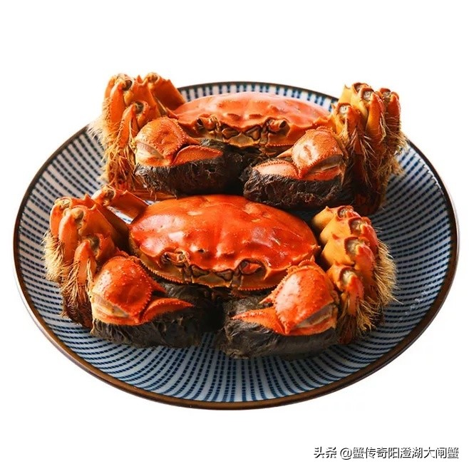 七夕将至,还没想好吃什么?不如试试蟹传奇大螃蟹