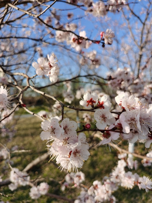 中医中药实战笔记经典药方,中医实战笔记治疗湿毒的中药方