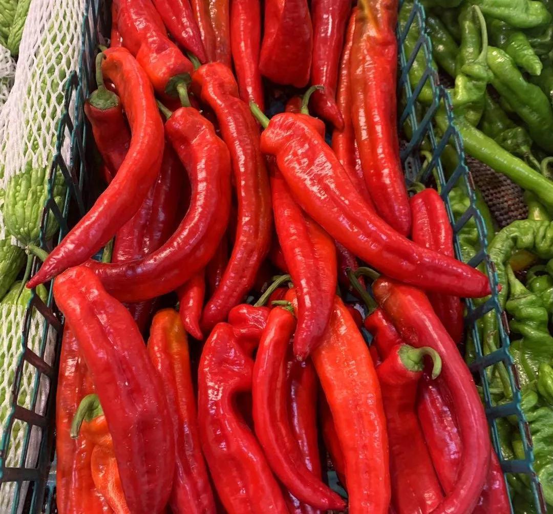 为什么生病期间不能吃海鲜和发物,生病时不能吃发物