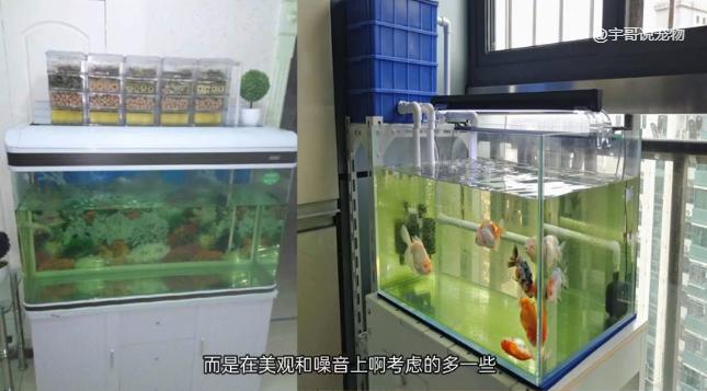小型鱼缸养金鱼过滤哪种好用,养金鱼鱼缸需要过滤吗