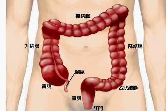 刚吃完饭就想大便,刚吃完饭就想大便怎么回事