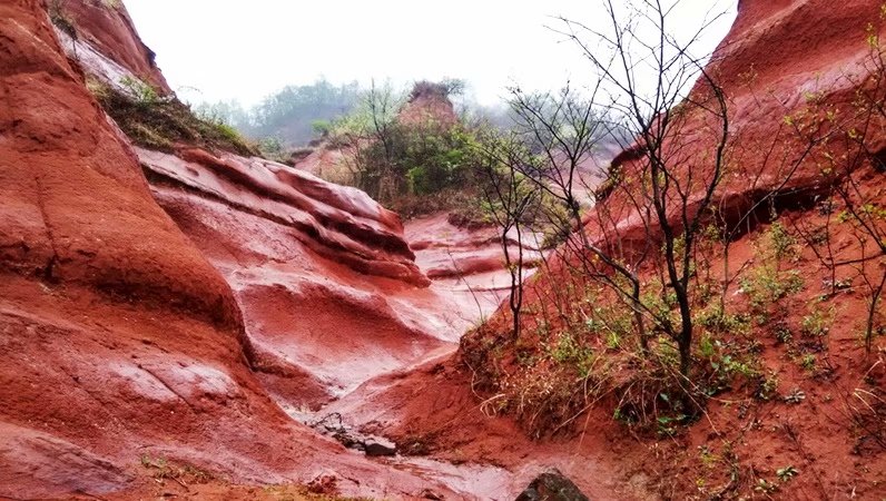 摩托周边旮旯游——探访明光法华禅庵塔