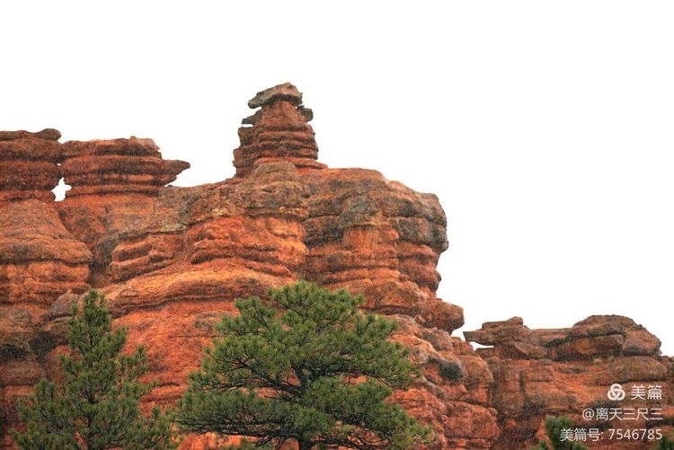 鍖楃編鏋儏闃虫柊,鍖楃編鏋儏鍥剧墖