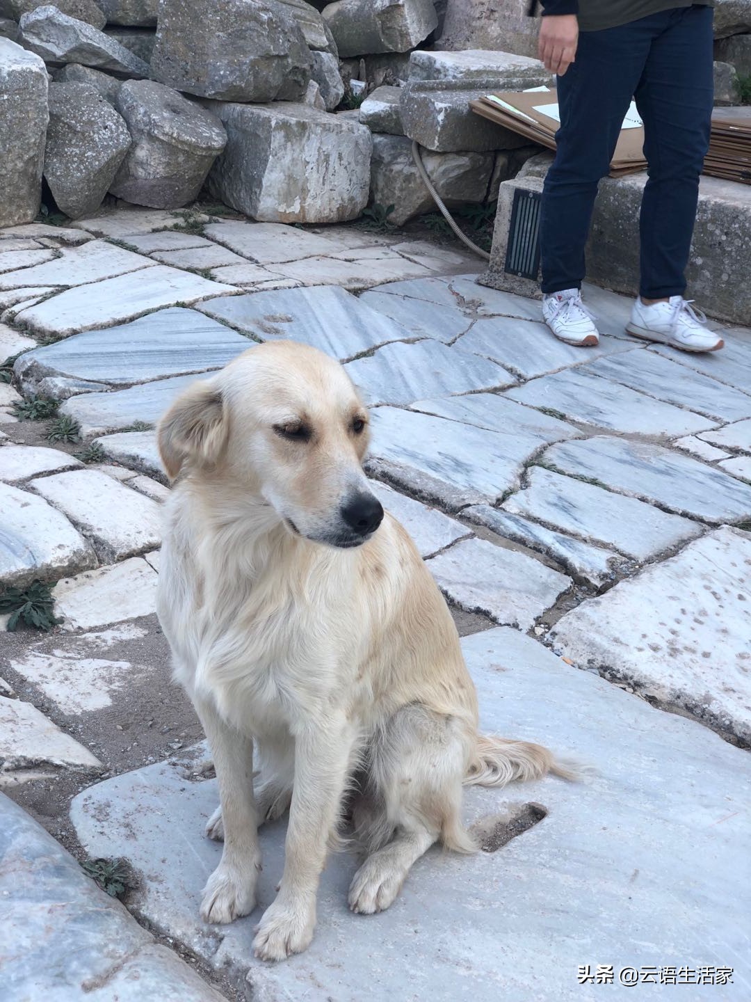 远走土耳其，我在星月之国上天入海（三）