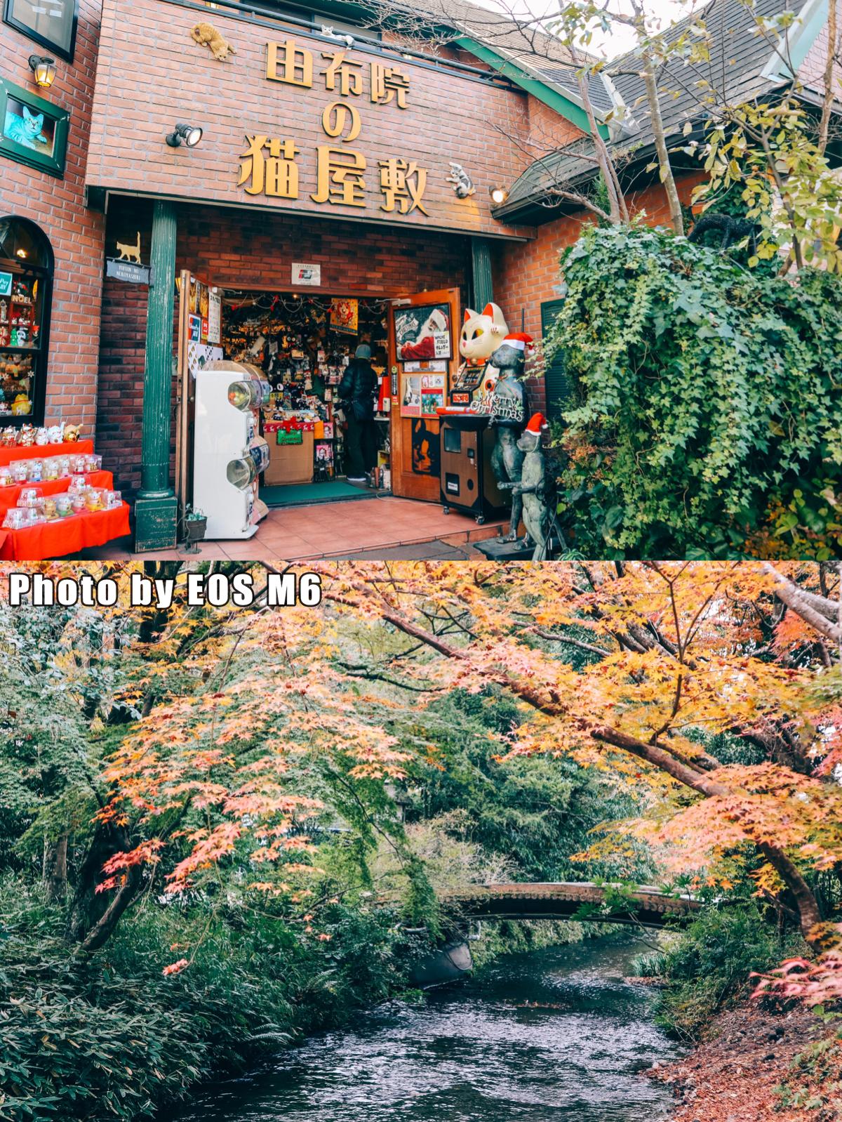 温泉旅日本,日本高山温泉旅游攻略