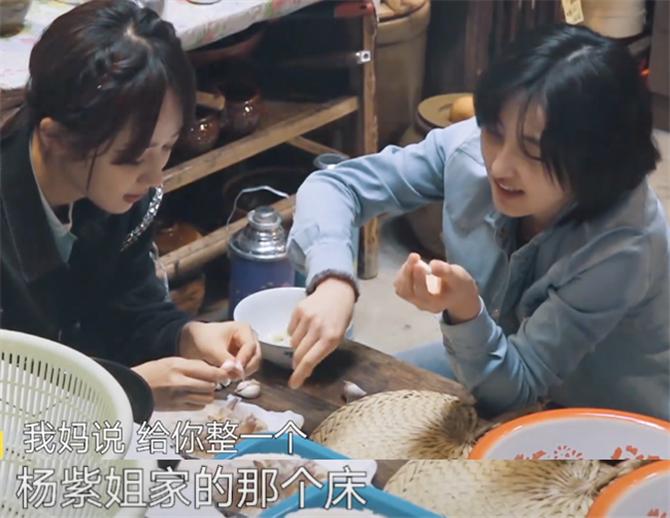 张子枫杨紫张艺兴,张子枫和杨紫综艺节目