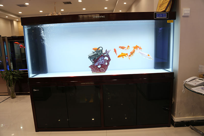 鱼缸清洗行业可以做吗,鱼缸清理市场前景