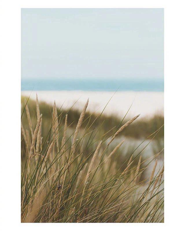 备干货要备些什么,备年货干货