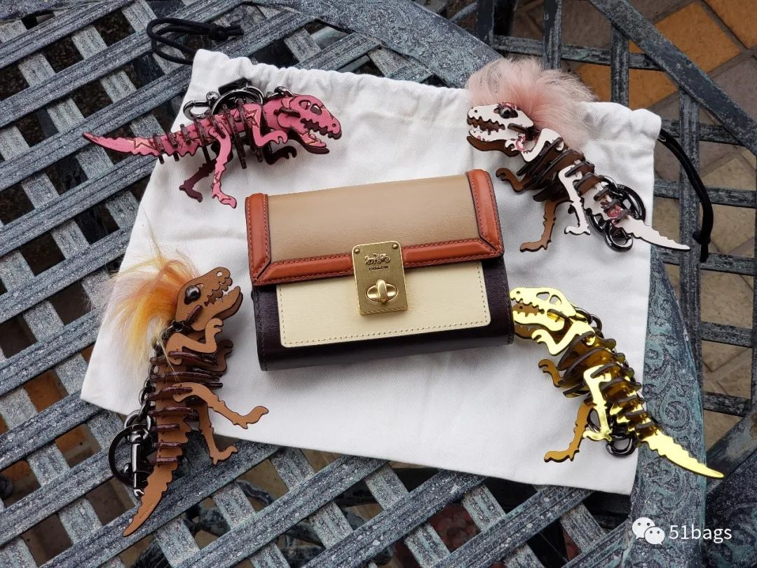 coach水桶包大号好还是小号好,coach好看的小挎包