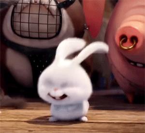 大b哥完整版视频,大b哥甜品