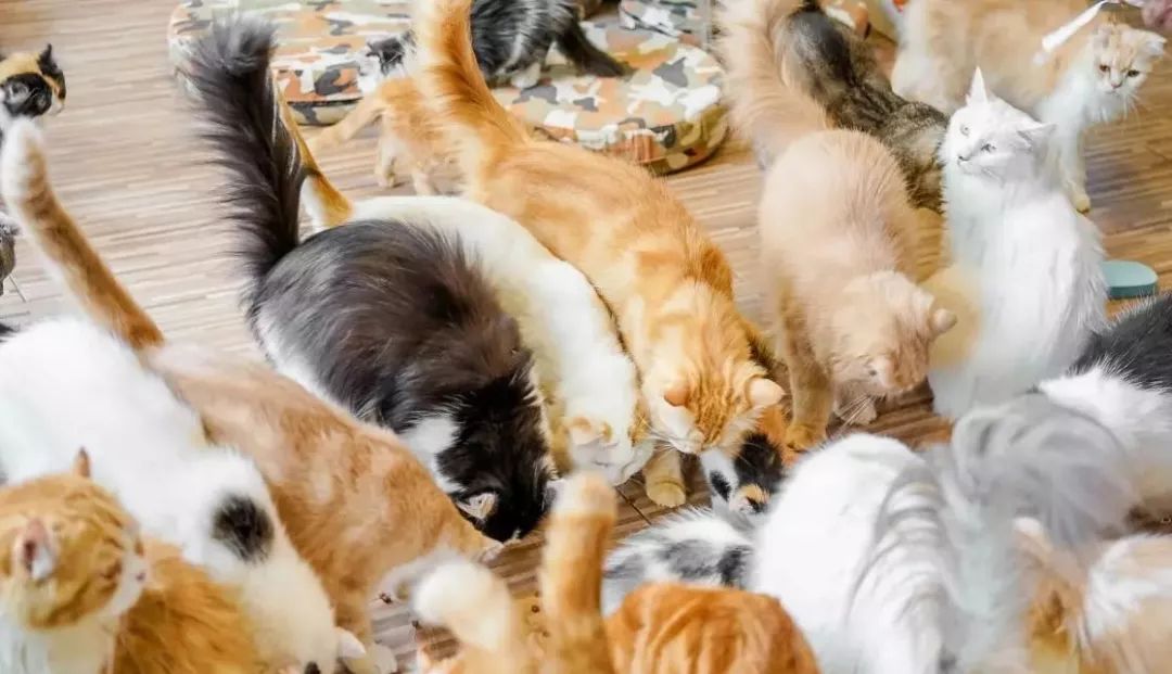 海珠区，一个不敢再去的地方