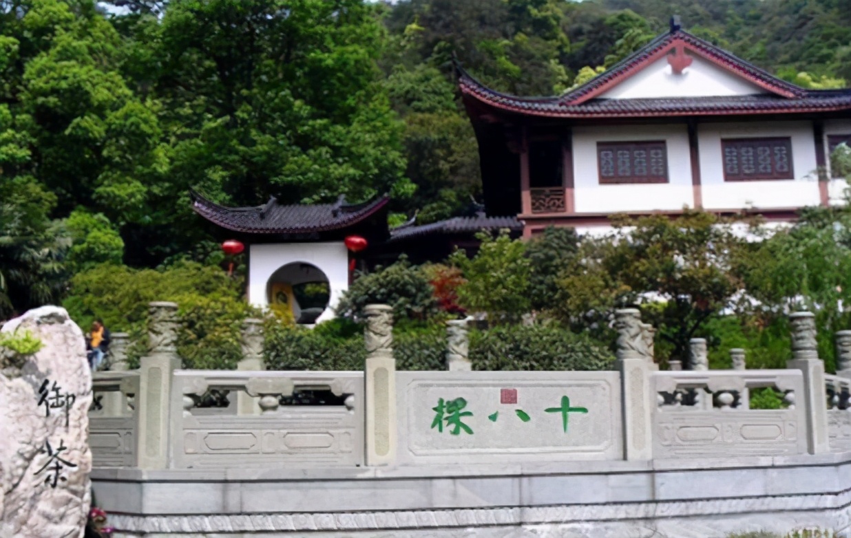 中国最贵的五种茶,中国最贵的茶什么茶