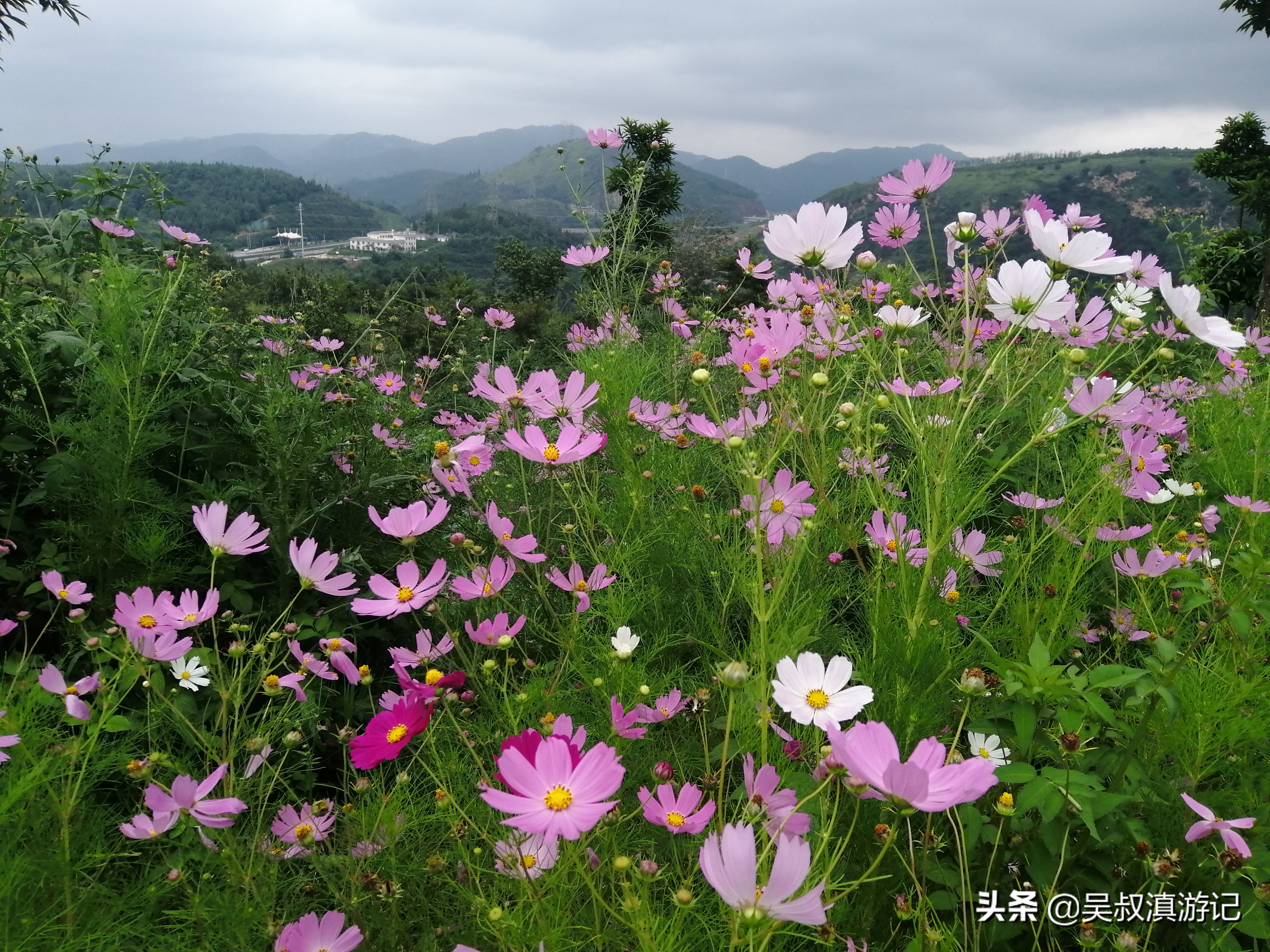 寻找奇石的亲身经历,寻找石盆寺视频