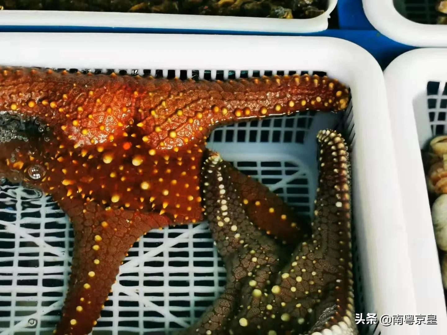 东澳岛海鲜旅游攻略,东澳岛最值得去的地方