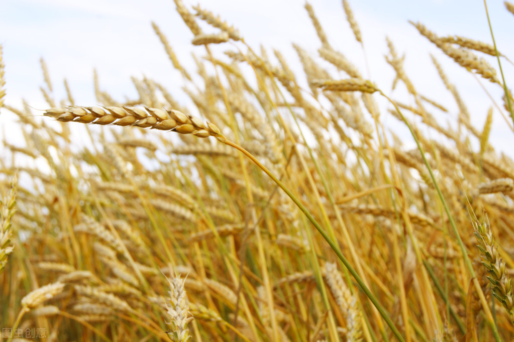 现代社会有旱灾吗,现代会出现旱灾吗