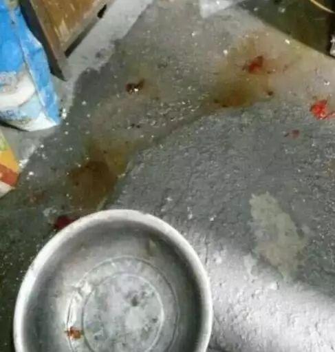 狗狗交配时强行将它们分开？脑子是个好东西，希望你能有！