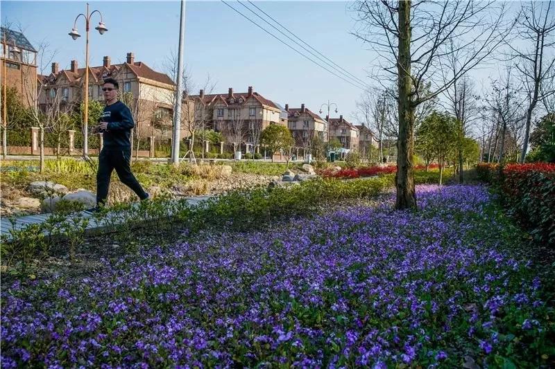松江国际生态商务区地标,松江国际生态公园