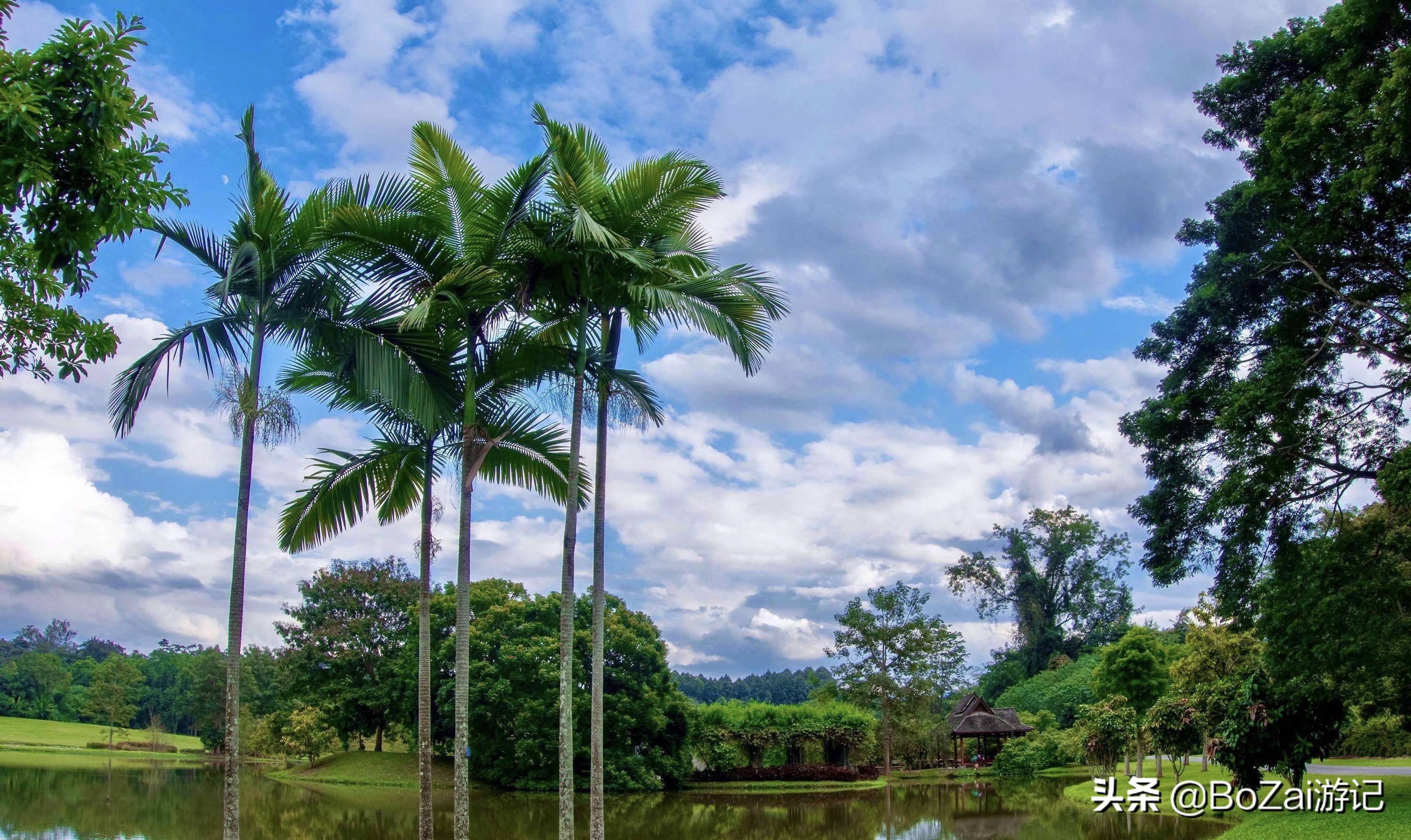 云南旅游攻略最佳线路洱海,到云南旅游必去景点推荐