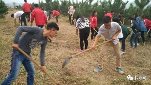 农垦中学甜品,农垦中学美食