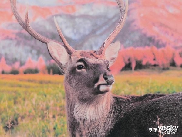 兄弟t4000dw喷墨打印机维修,兄弟4000dw打印机测评