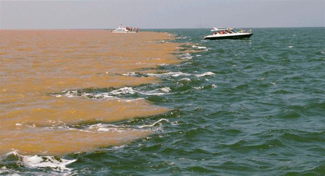 导游证山东免费的景区可以去吗,山东导游证可以免费进景区吗