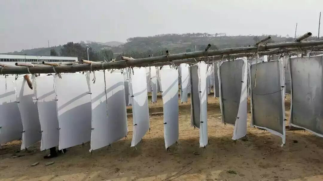 一针一线总关情原文,一针一线皆关情阅读