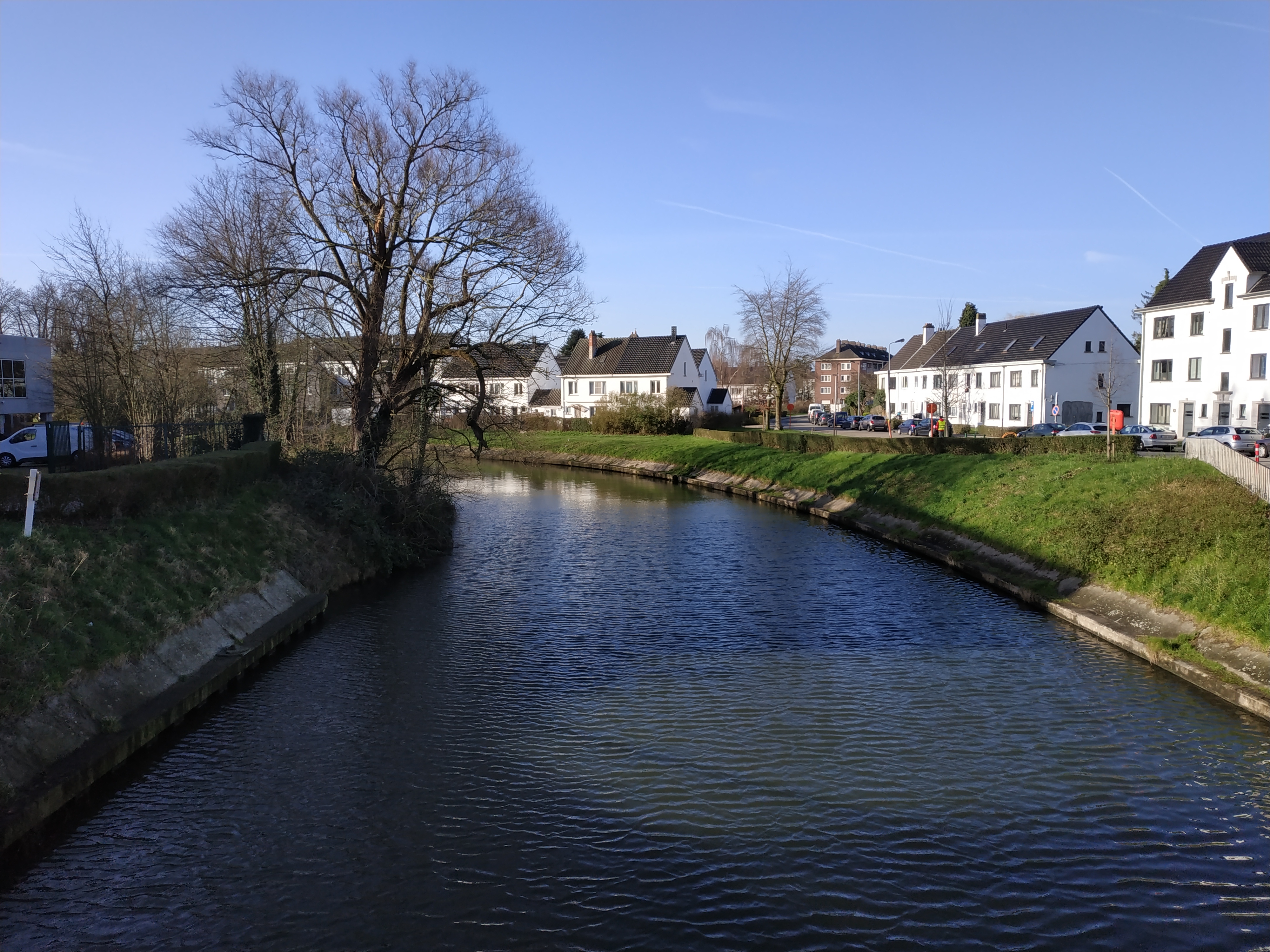 欧鳊如何钓,欧鳊怎么钓