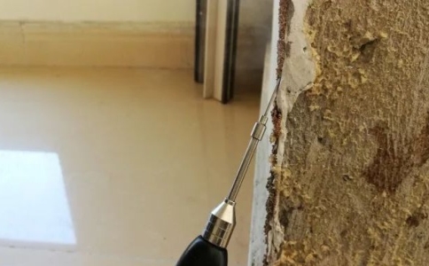 杭州写字楼白蚁防治办法,白蚁防治最有效的方法有哪些