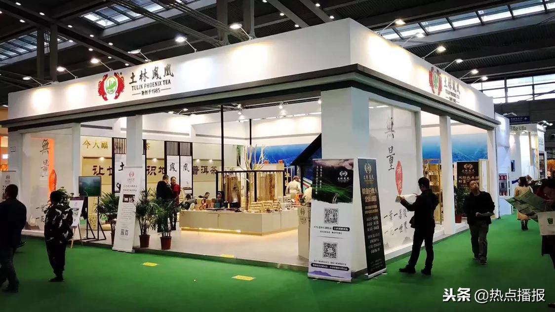 无量山土林凤凰普洱茶,土林无量山沱茶怎么样