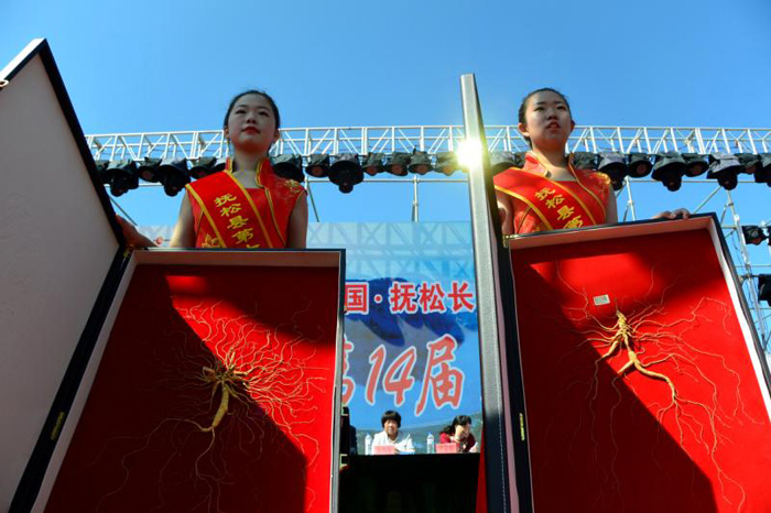 抚松县参王,抚松野山参参王