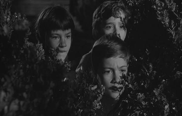 常被引用到文章的古文,文青引用什么书