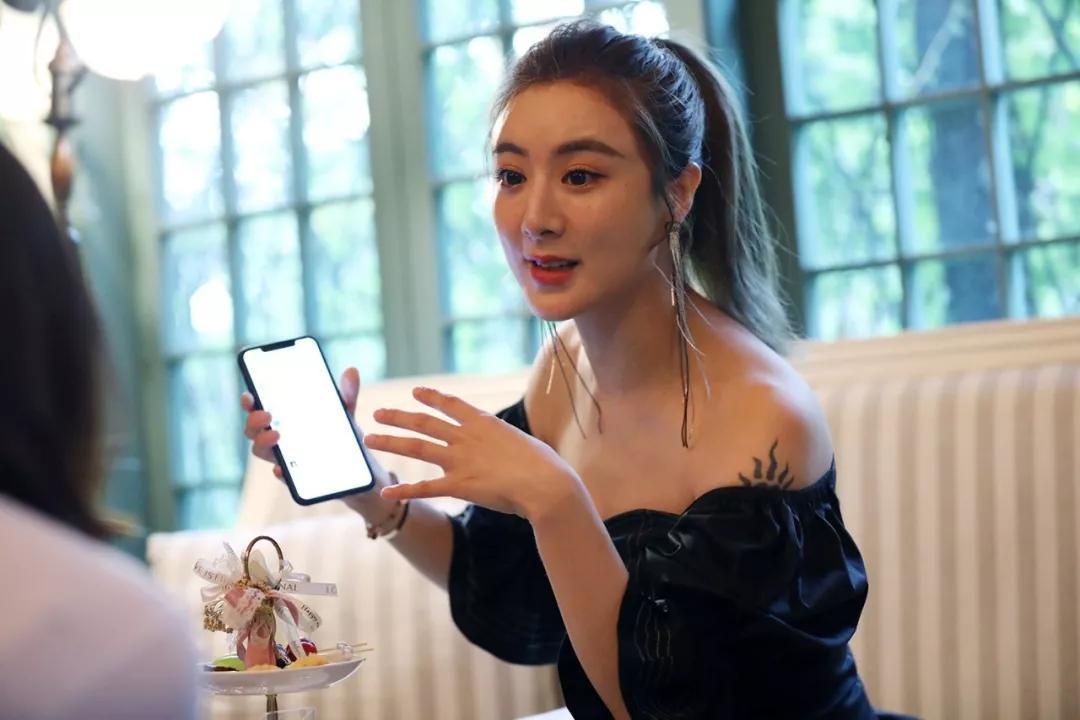 新猫为什么适应不了新的环境,新猫萎靡不振怎么回事