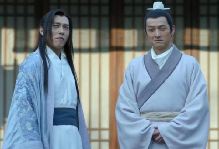 琅琊榜飞流和蔺晨是一对吗,琅琊榜飞流为什么惧怕