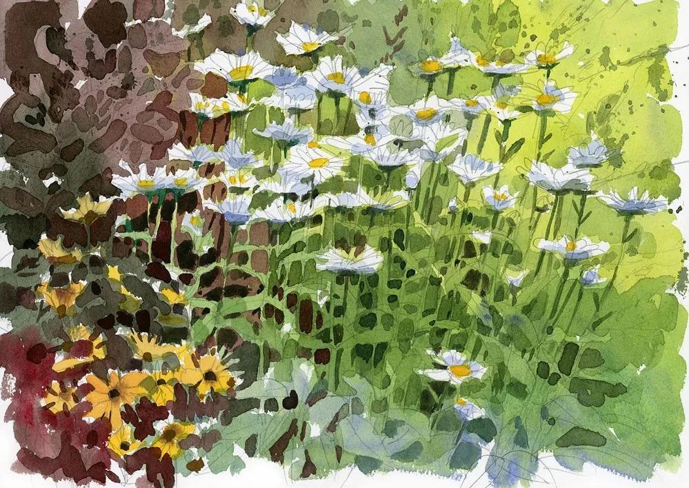 酣畅淋漓的水彩,酣畅淋漓水彩